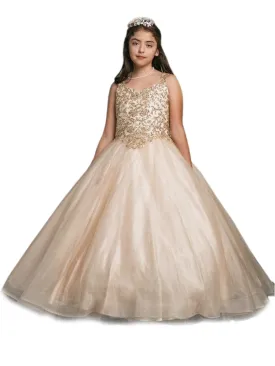 Little Girls Gold Embroidered Bodice Glitter Tulle Gown 2-6