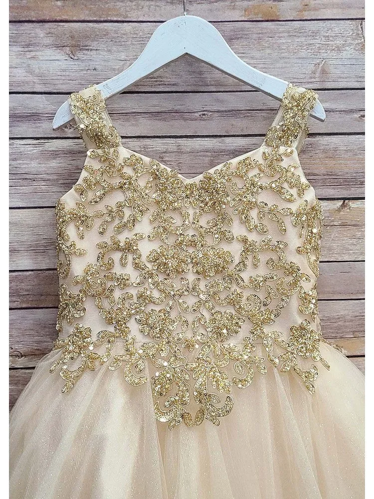 Little Girls Gold Embroidered Bodice Glitter Tulle Gown 2-6